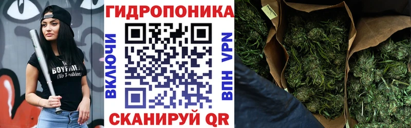 Купить Сясьстрой COCAIN Меф АМФЕТАМИН ГАШ