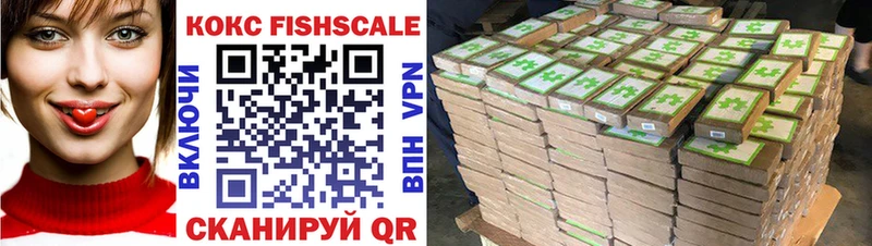 закладка  Сясьстрой  COCAIN VHQ 