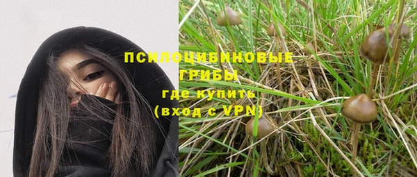 прущие крисы Медногорск