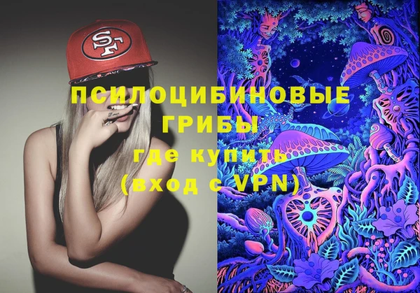кокс Медвежьегорск