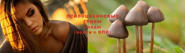 дистиллят марихуана Магадан