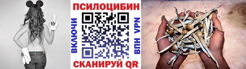 Галлюциногенные грибы GOLDEN TEACHER  Сясьстрой 